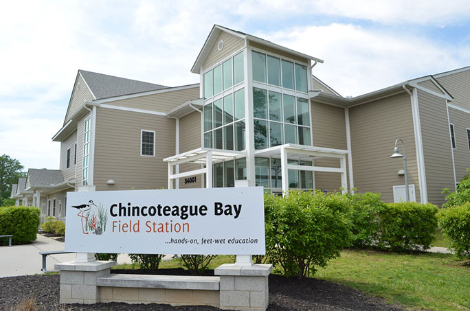 Chincoteague Bay Field Station